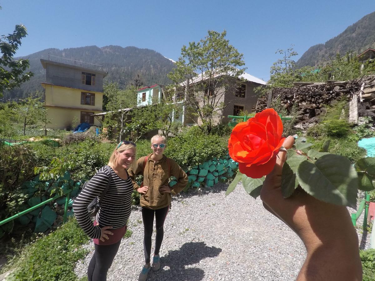 One Light Hostel Manali (Himachal Pradesh) Ngoại thất bức ảnh